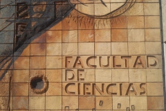 Mosaico de Vazquez